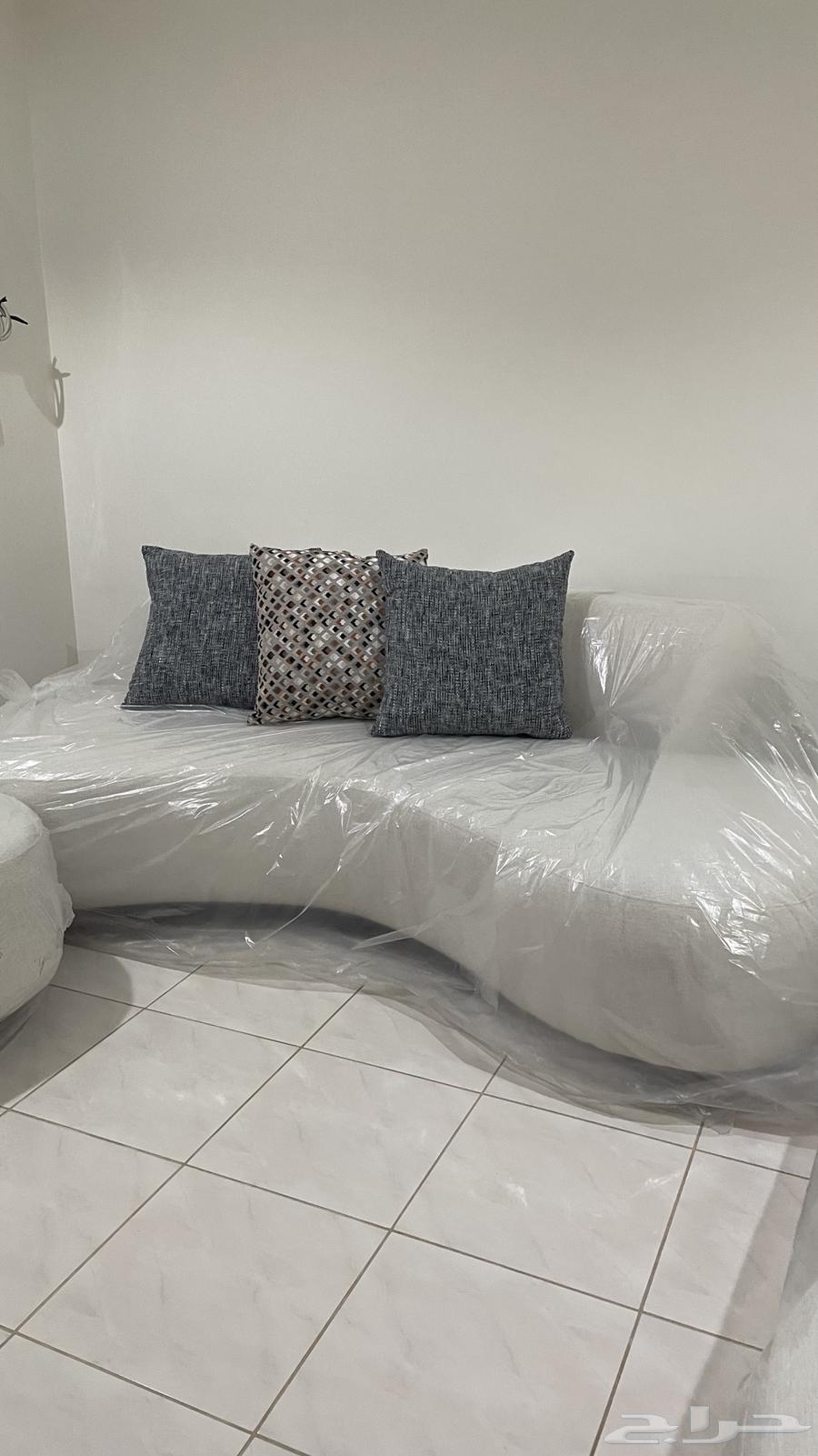 كنبات كبيرة جديدة تمام ا بالغلاف الأصلي64372404768258111