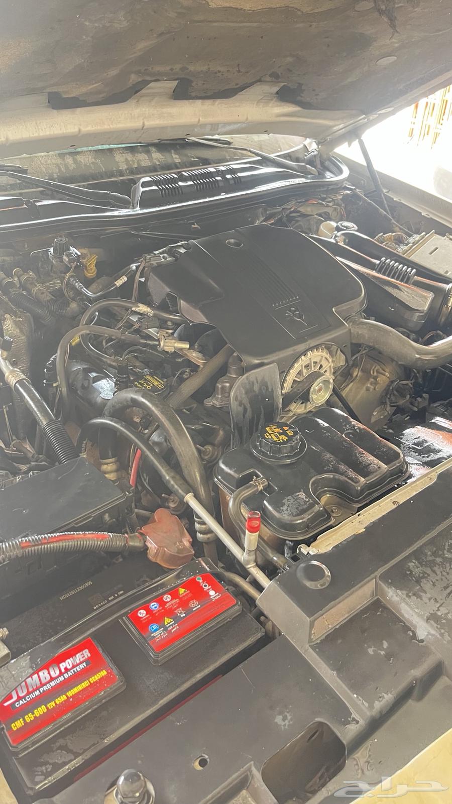 فورد جراند ماركيز 2010 قمة النظافة64514803278467111