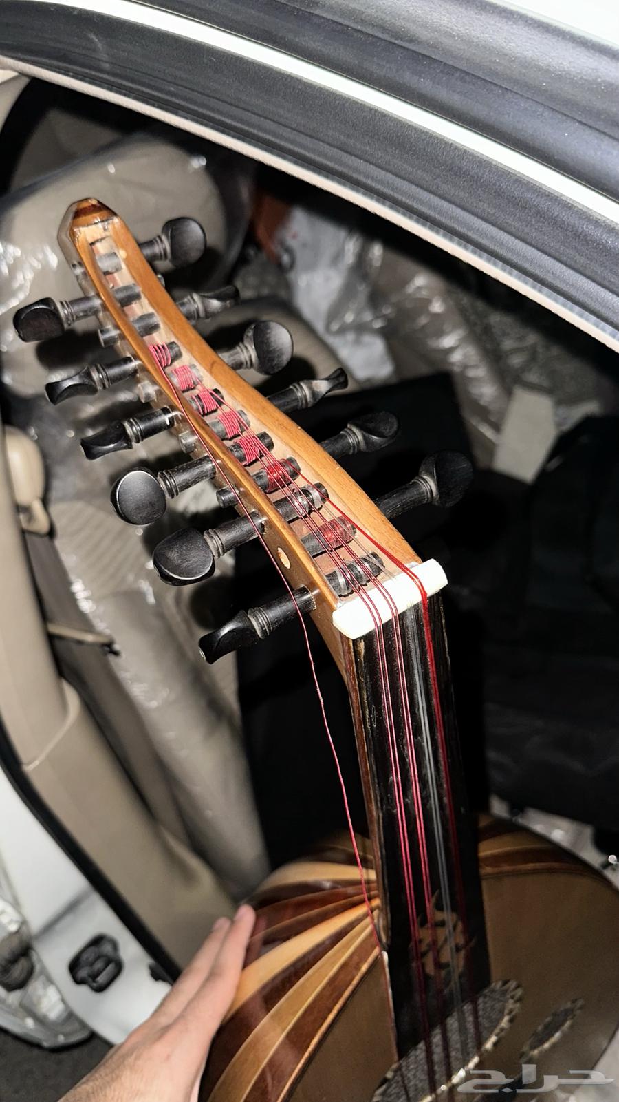 عود عزف للبيع64365365766786113