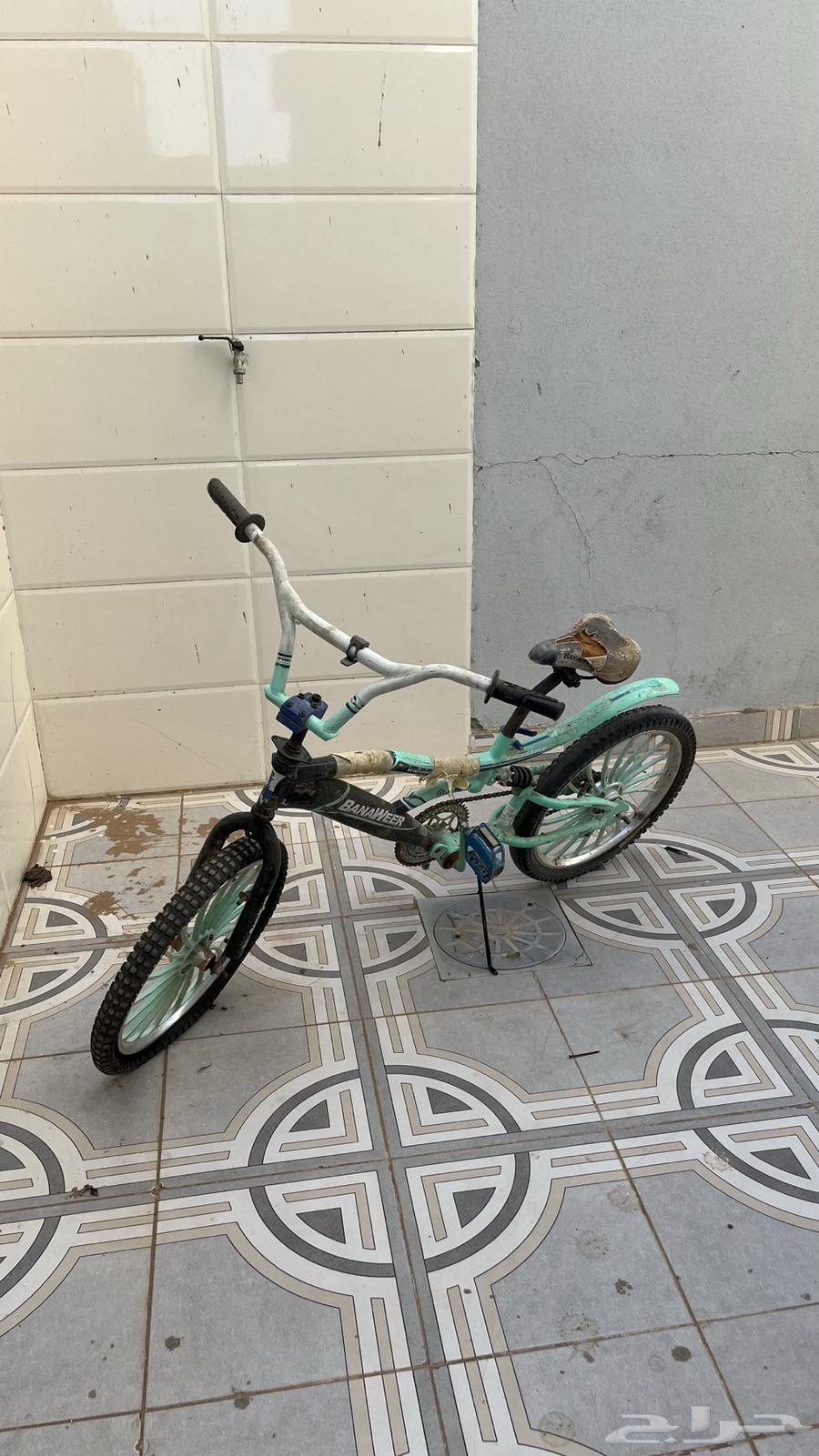 سيكل كوبرا مقاس 2064369542621313110