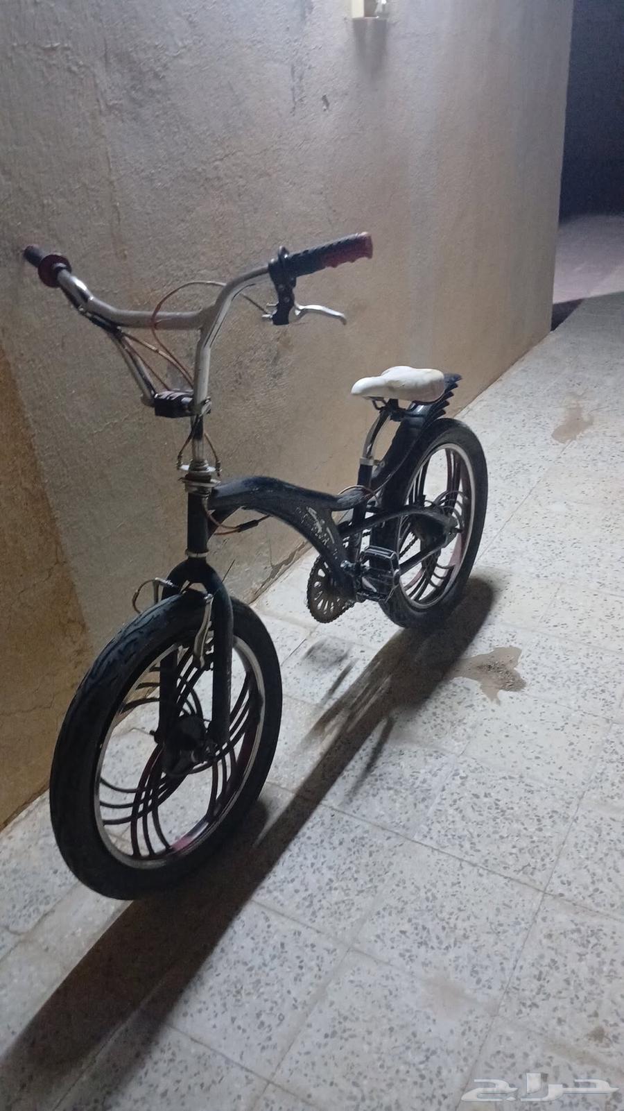 سيكل كوبرا64368105266947110