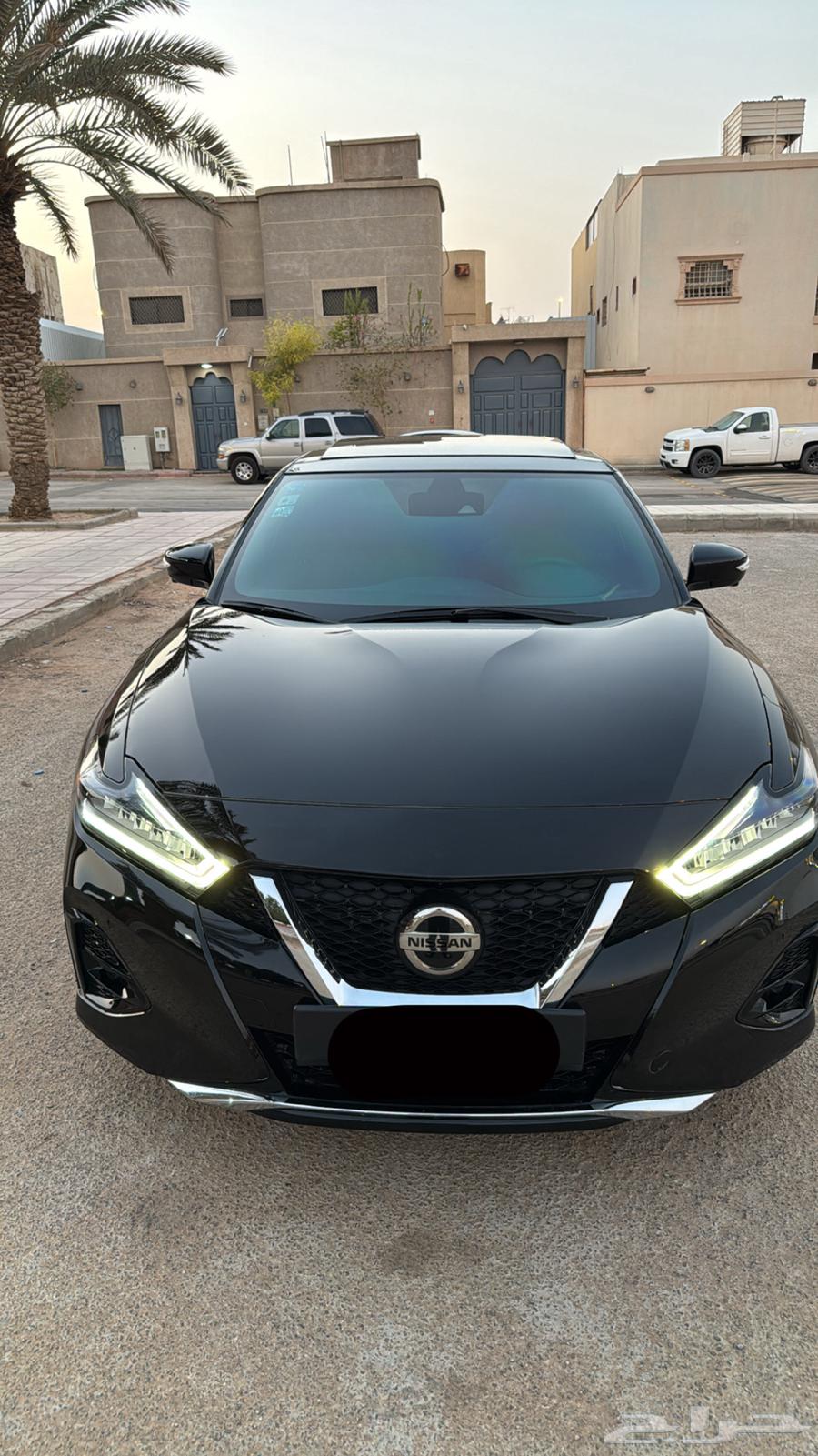 Maxima 2020 with low mileage64516978345090111