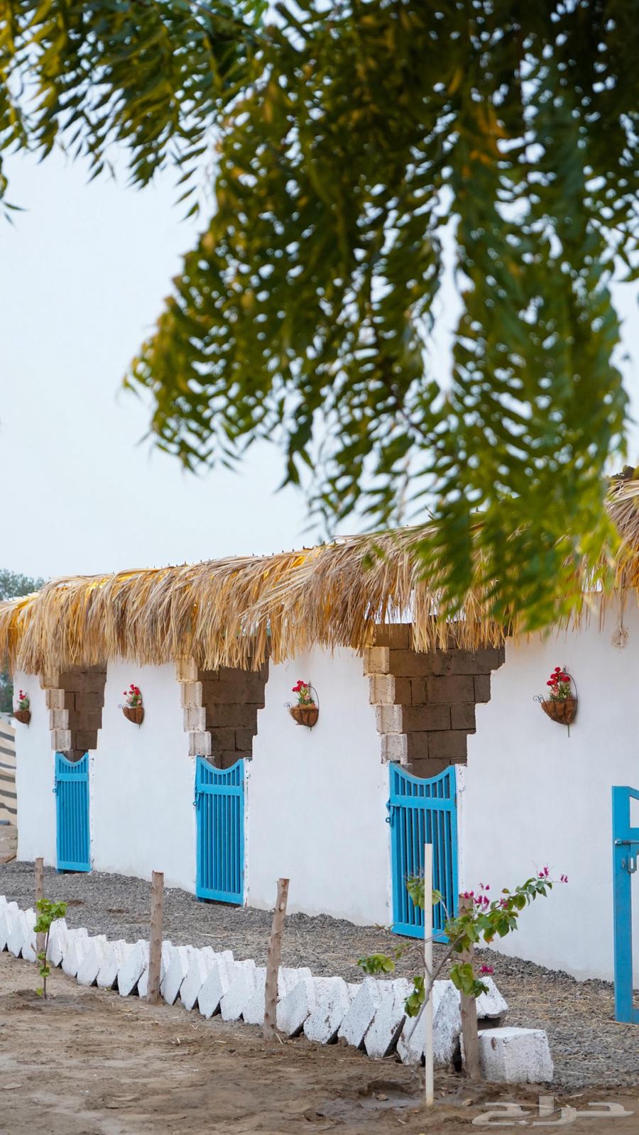 مربط الإعجاب للخيل العربية الأصيلة64365938495873111