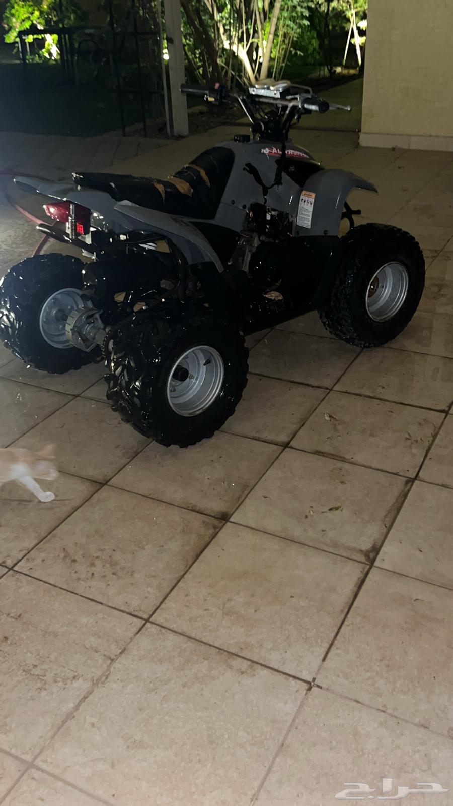 دباب نضيف جدا64518408797314113