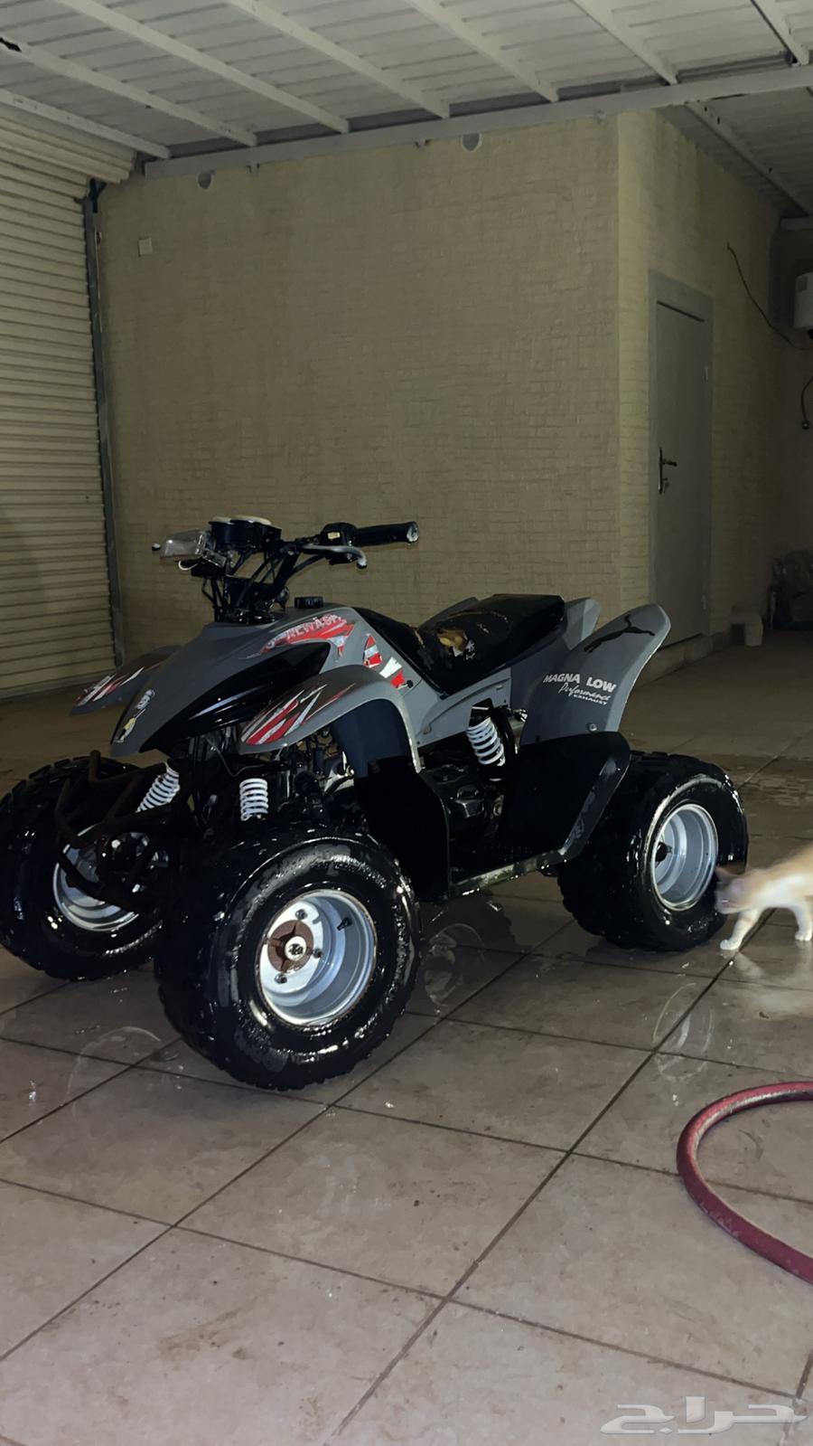 دباب نضيف جدا64518408797314112