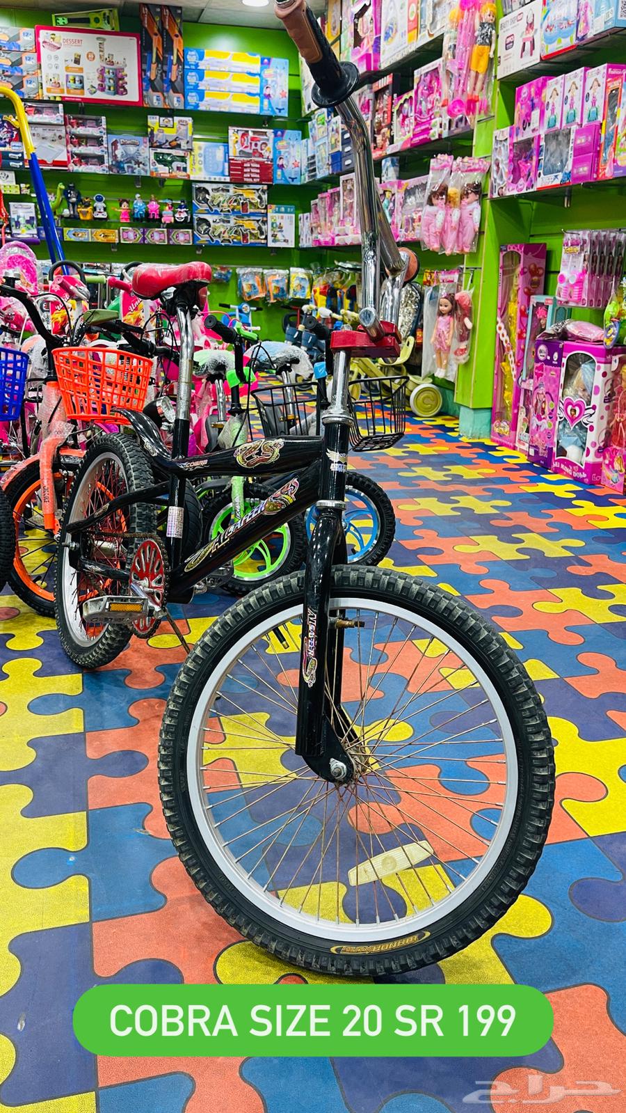 SECOND COBRA SIZE 2064373625063683110