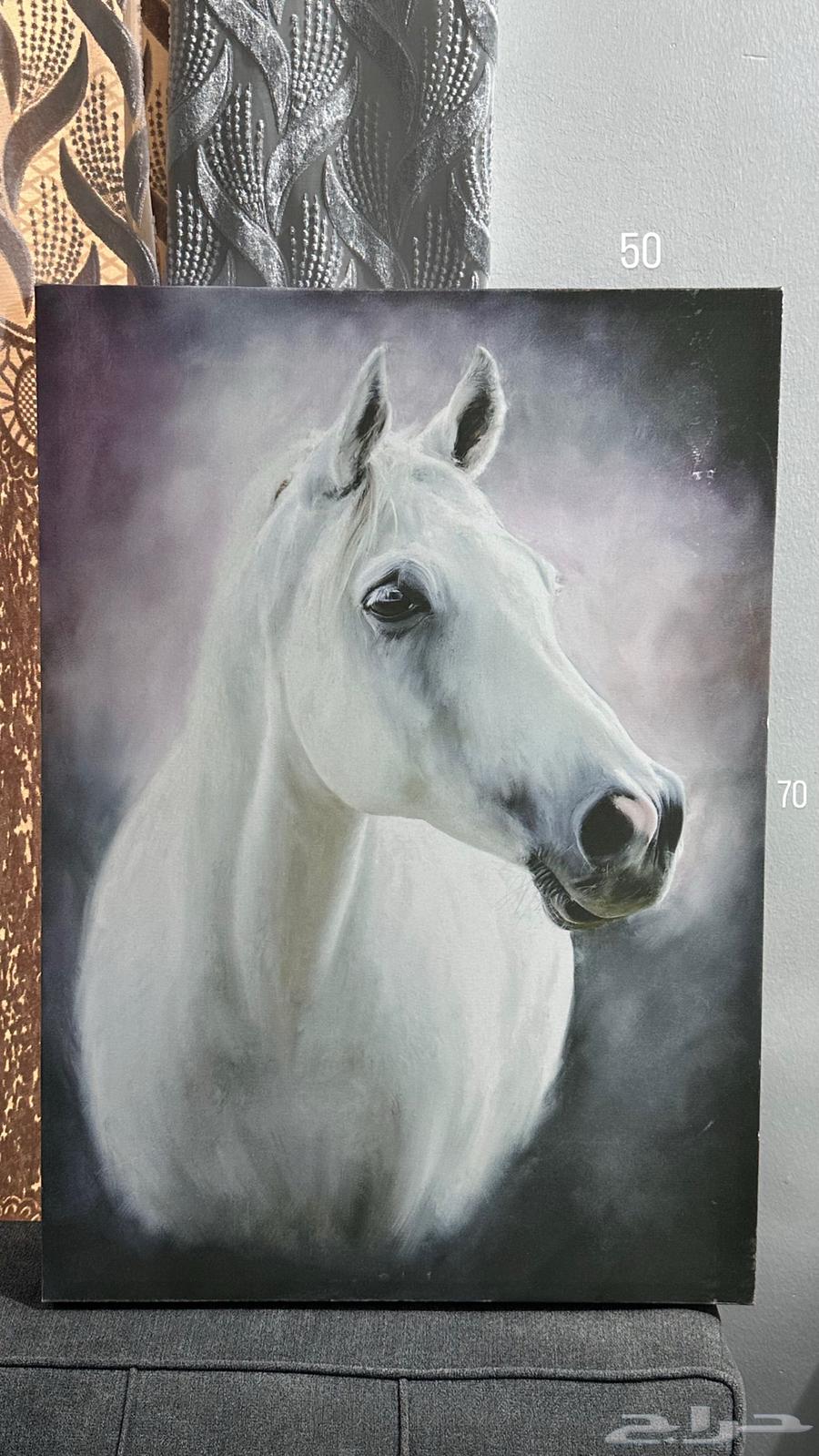 لوحات جدارية نظيفة جدا64370612087938112