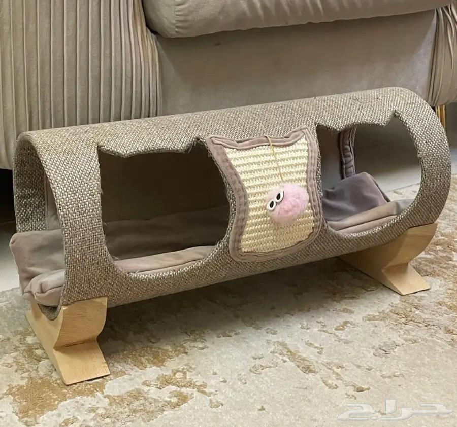 بيت قطه64371818594178110