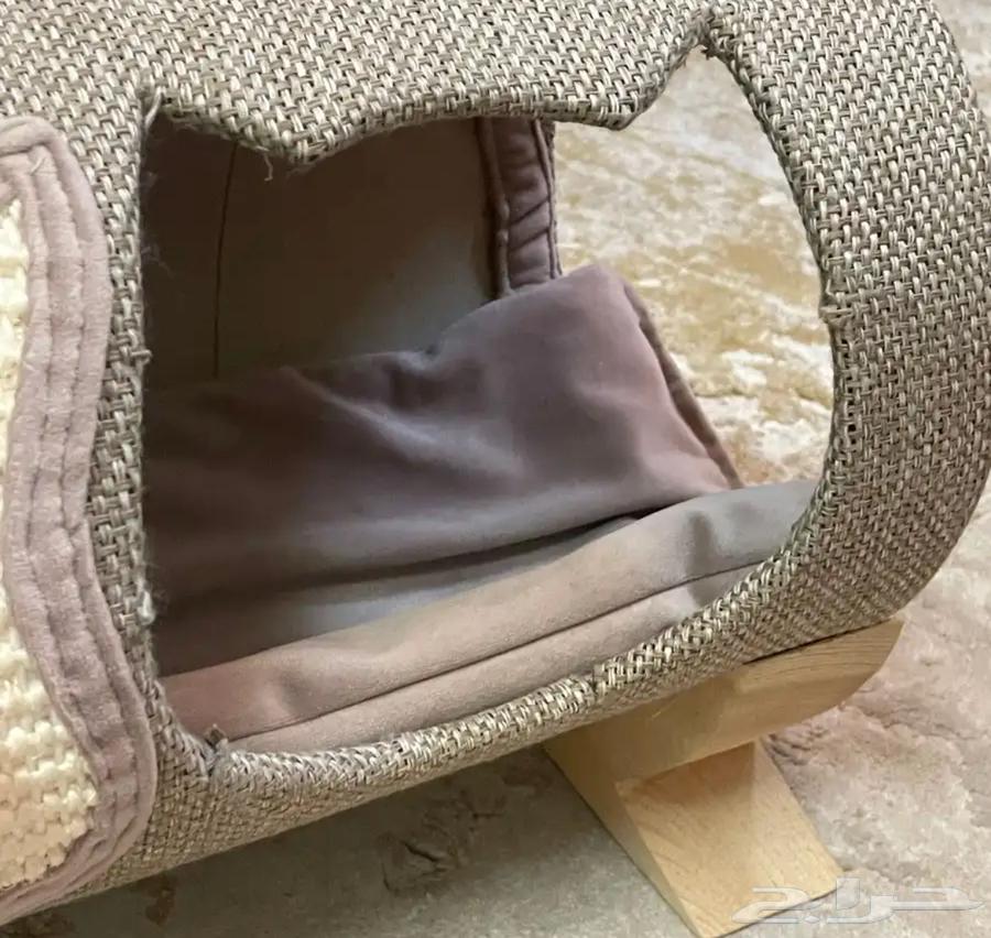 بيت قطه64371818594178112