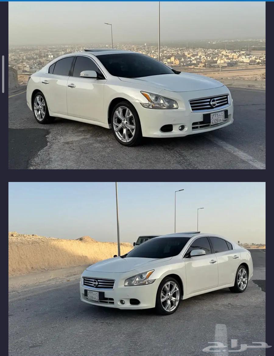 مكسيما 2014 بودي بلد نظيف64508298813825113