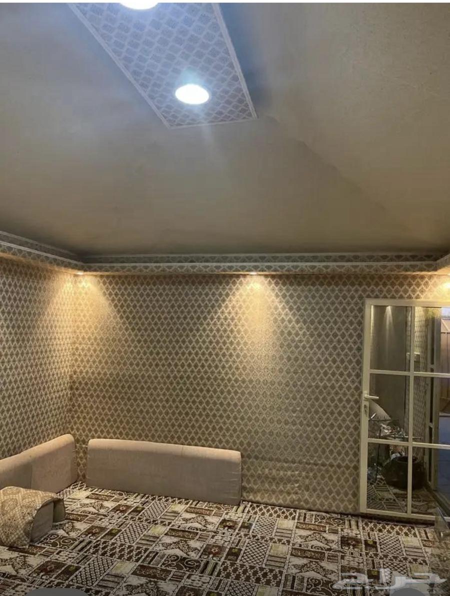 القصيم. بريده64369601046785111