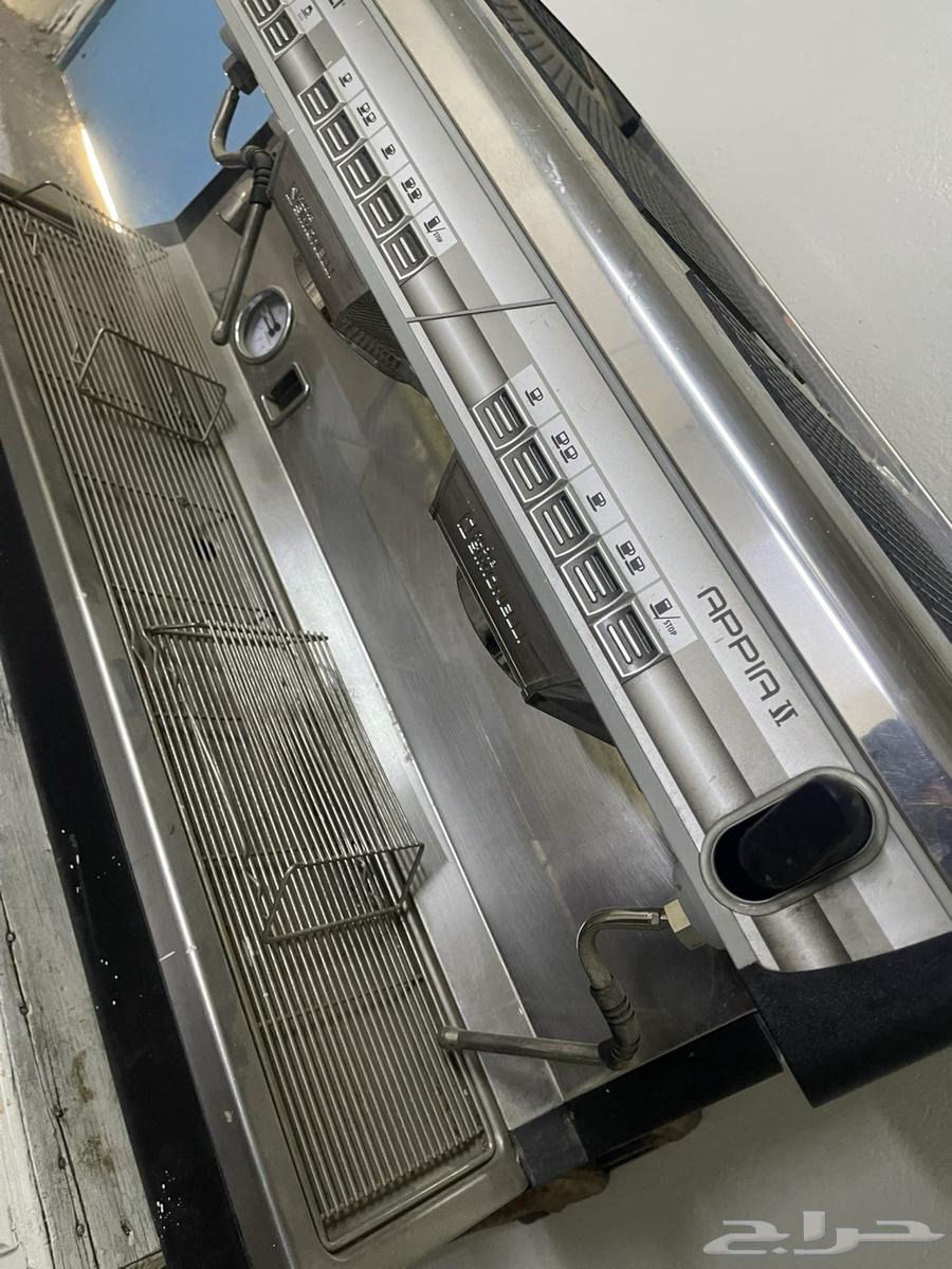 المدينة المنورة64366159968513112