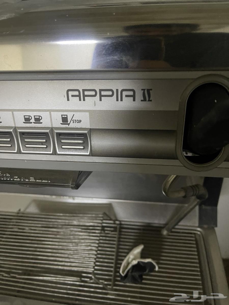 المدينة المنورة64366159968513111