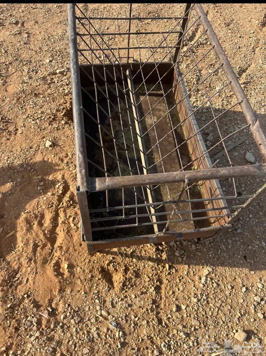 مطلوب مناقل64370655084930110