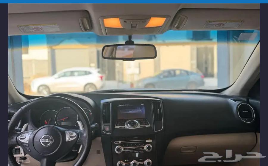 مكسيما 2014 بودي بلد نظيف64508298813825112