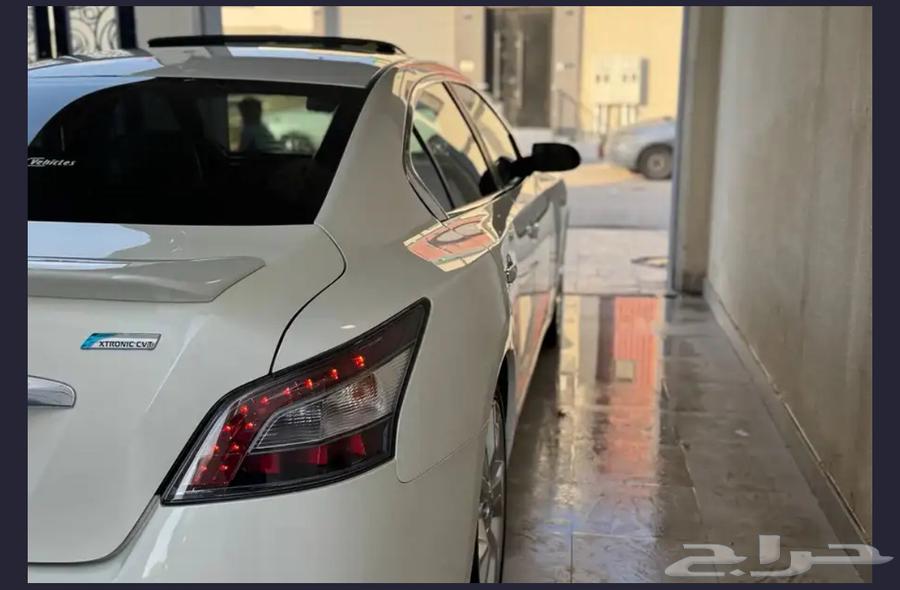 مكسيما 2014 بودي بلد نظيف64508298813825110