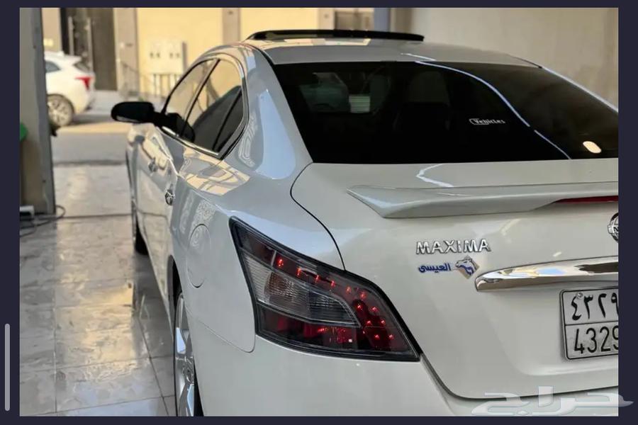 مكسيما 2014 بودي بلد نظيف64508298813825111