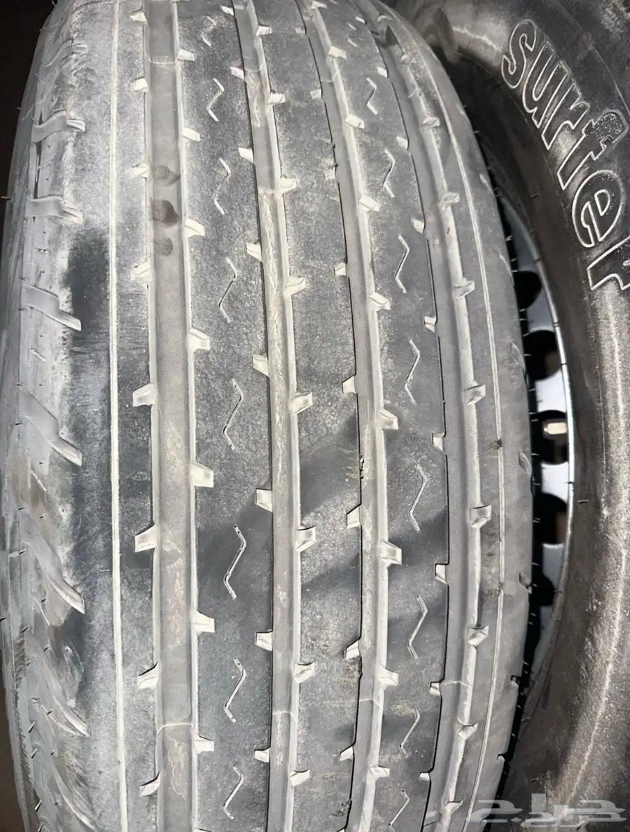 للبيع شواهين وشنابر 90064518325284482111