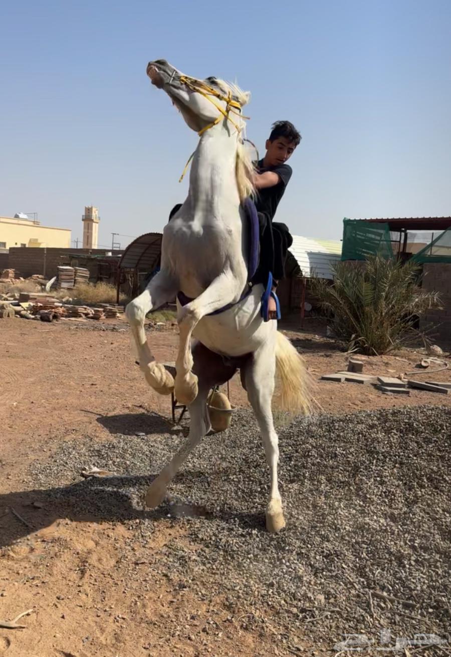 Hello64367916354818111