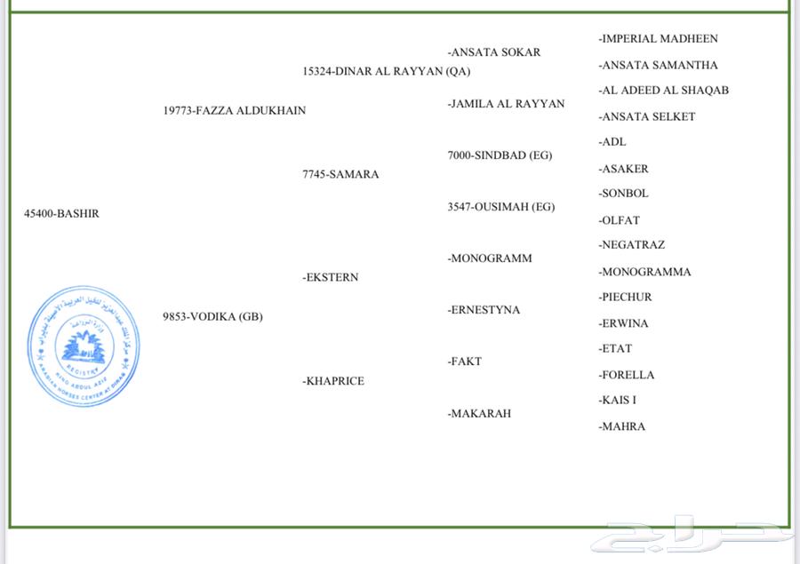 حصان واهو64369425751170113