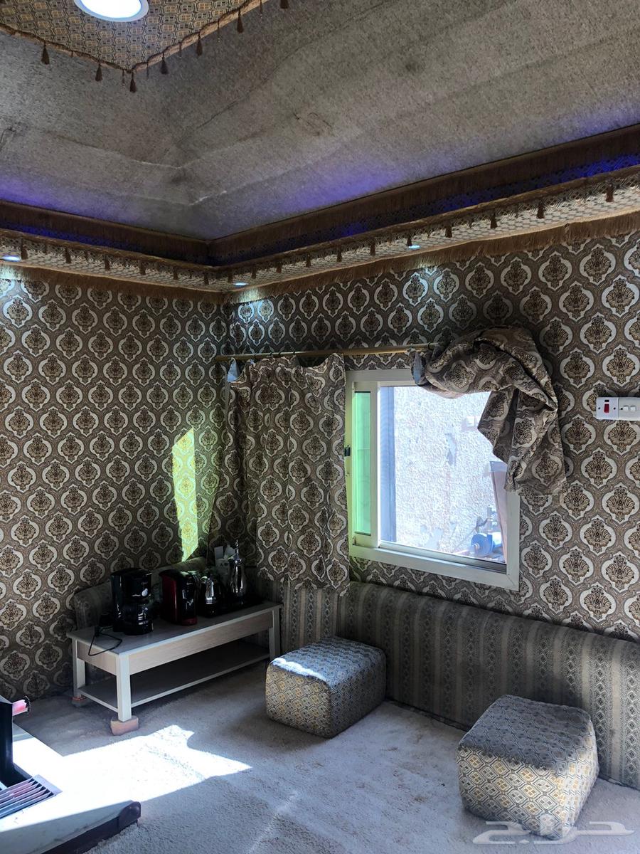 خيمة ملكية للبيع64365174039169112