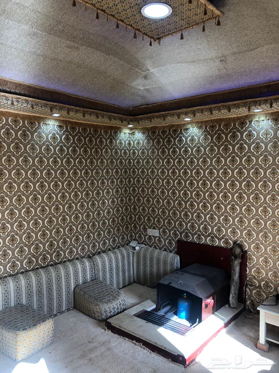 خيمة ملكية للبيع64365174039169111