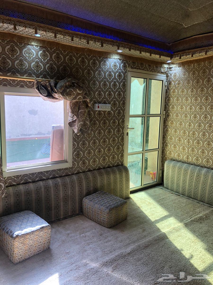 خيمة ملكية للبيع64365174039169113