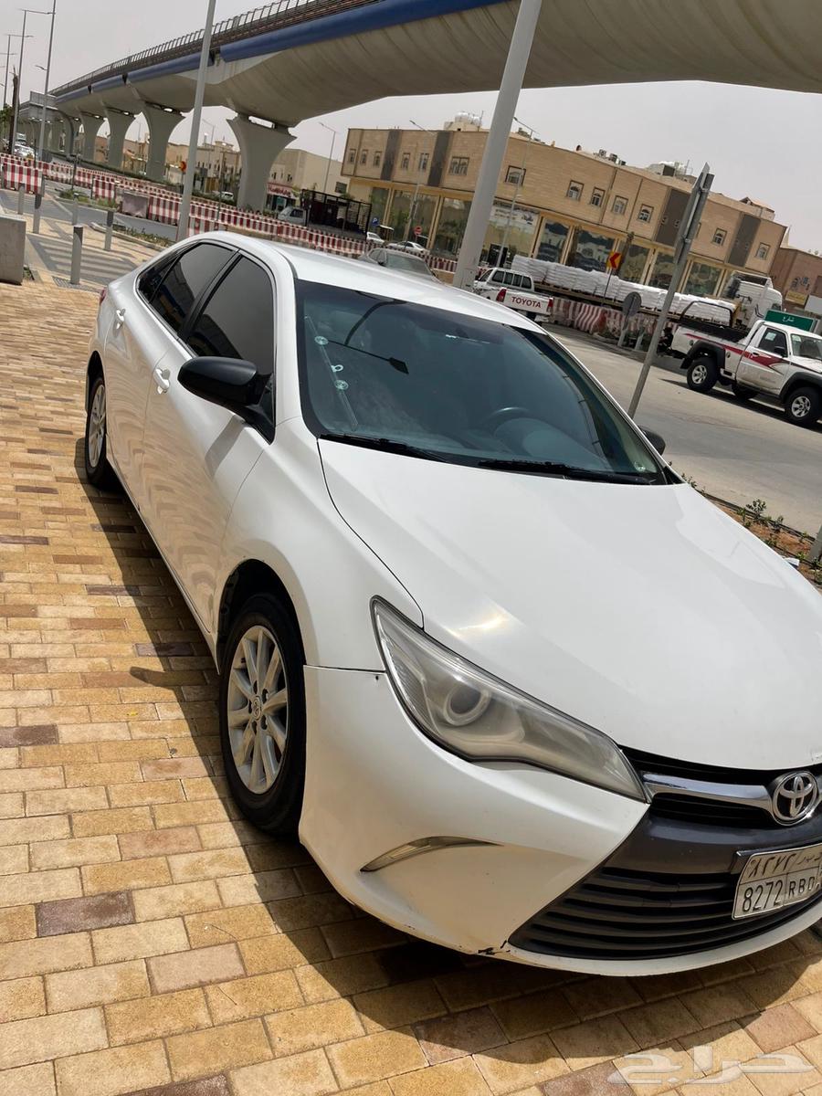 الرياض العزيزيه64379239033729111