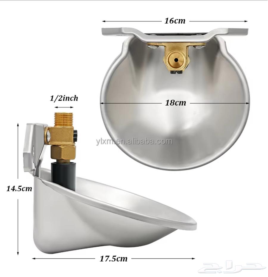 عرض اليوم الوطني مشربيات اغنام64369557336194111