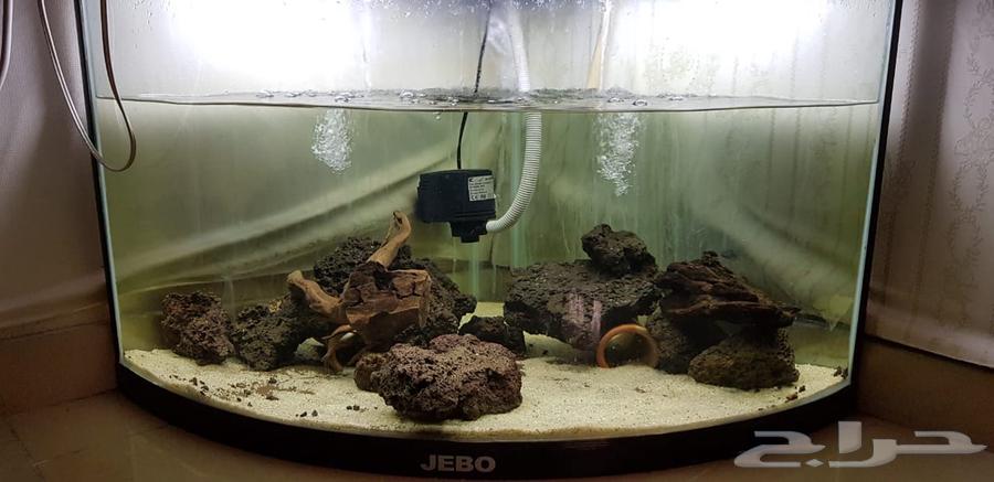 حوض زاويه64376720474371110