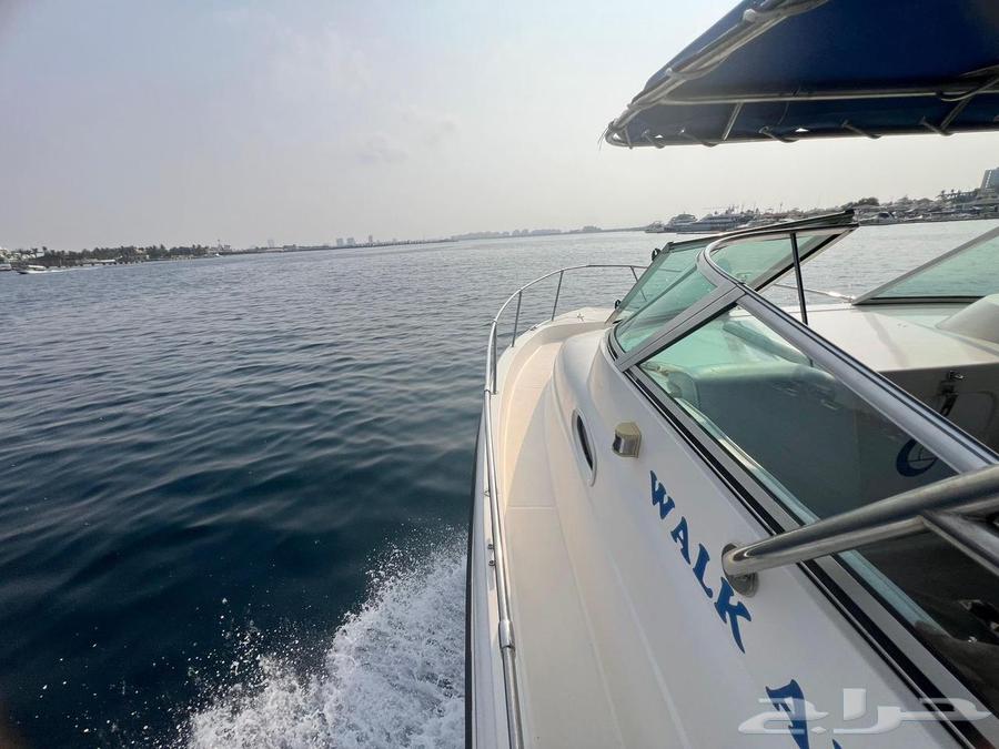 بوت رحلات بحريه و استمتاع64373846554499114