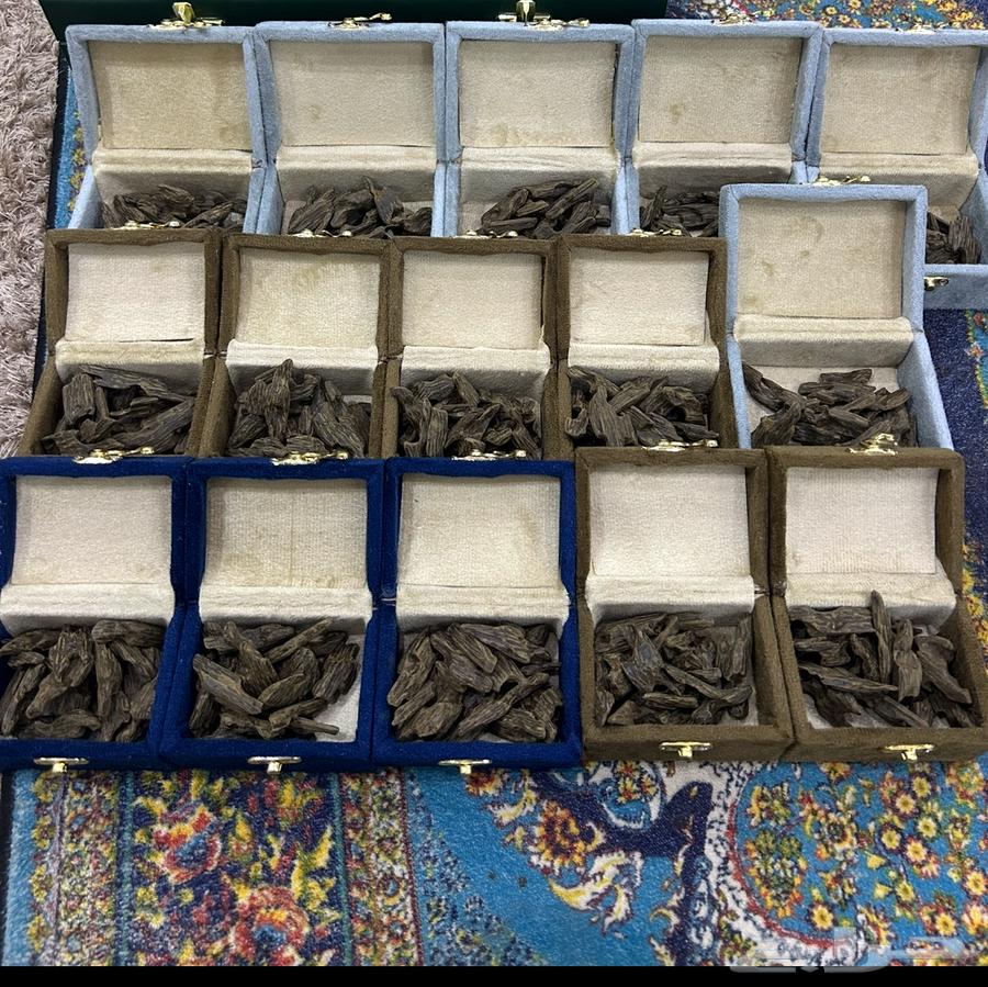 كلمنتان بنتلي دبل سوبر64364545319170111