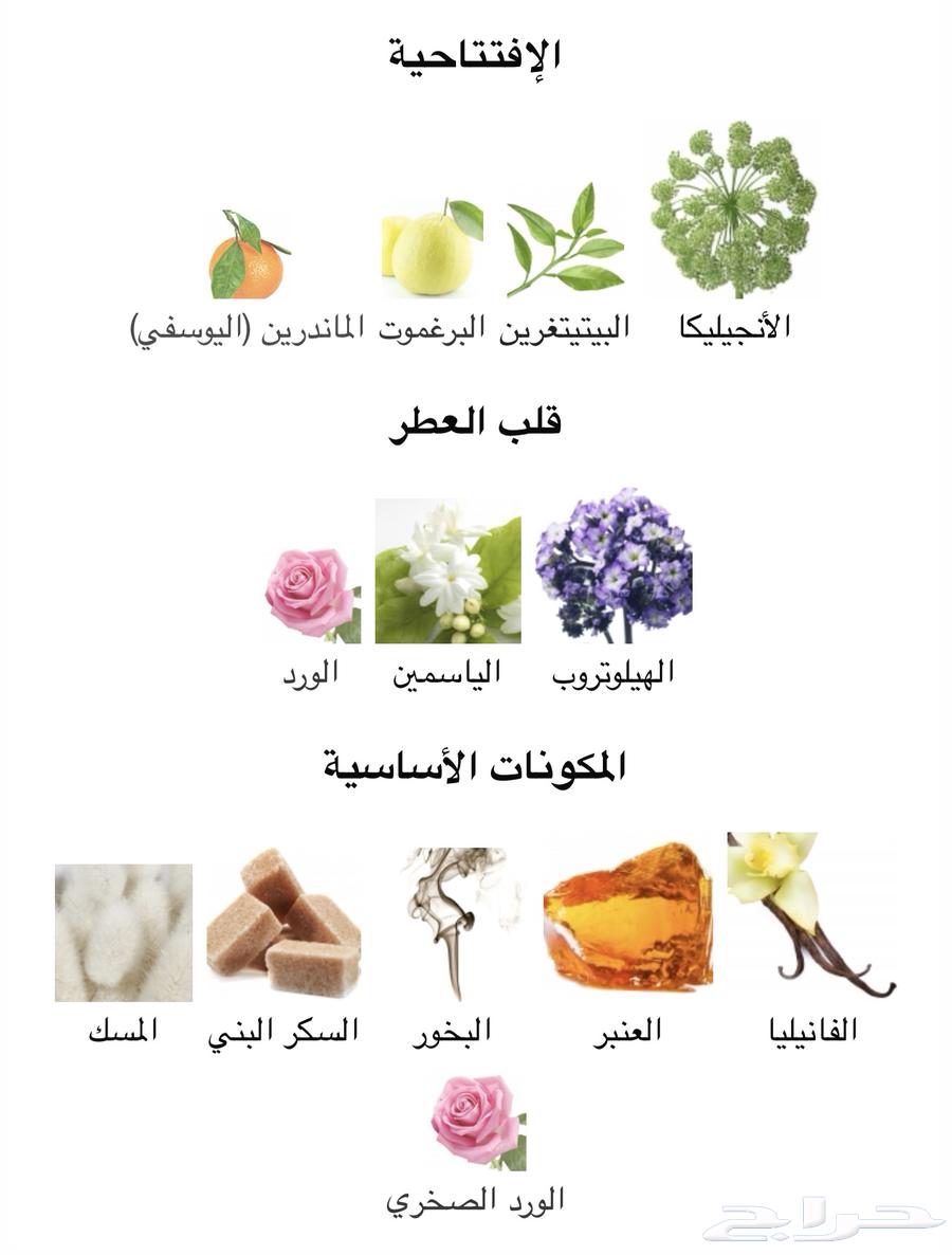 عطر العنبر الجميل Nuit de Noces Christian Provenzano64365879833091111