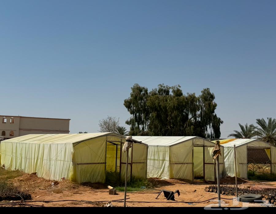 للبيع بيوت محميه64374612796034110