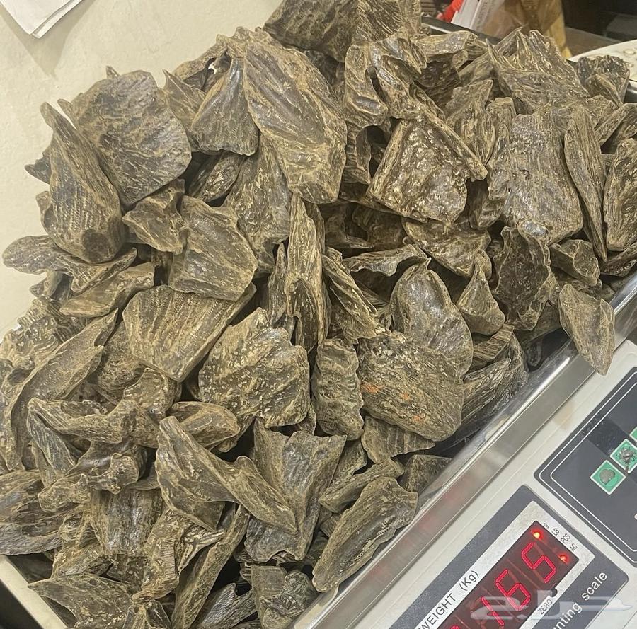 عود كلمنتان الأكثر مبيع ا64371321234179110