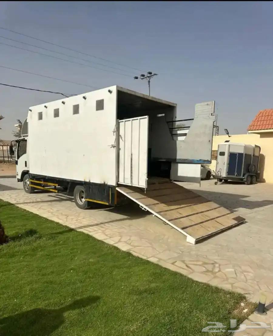 نقل خيل وادي دواسر64375349083651112