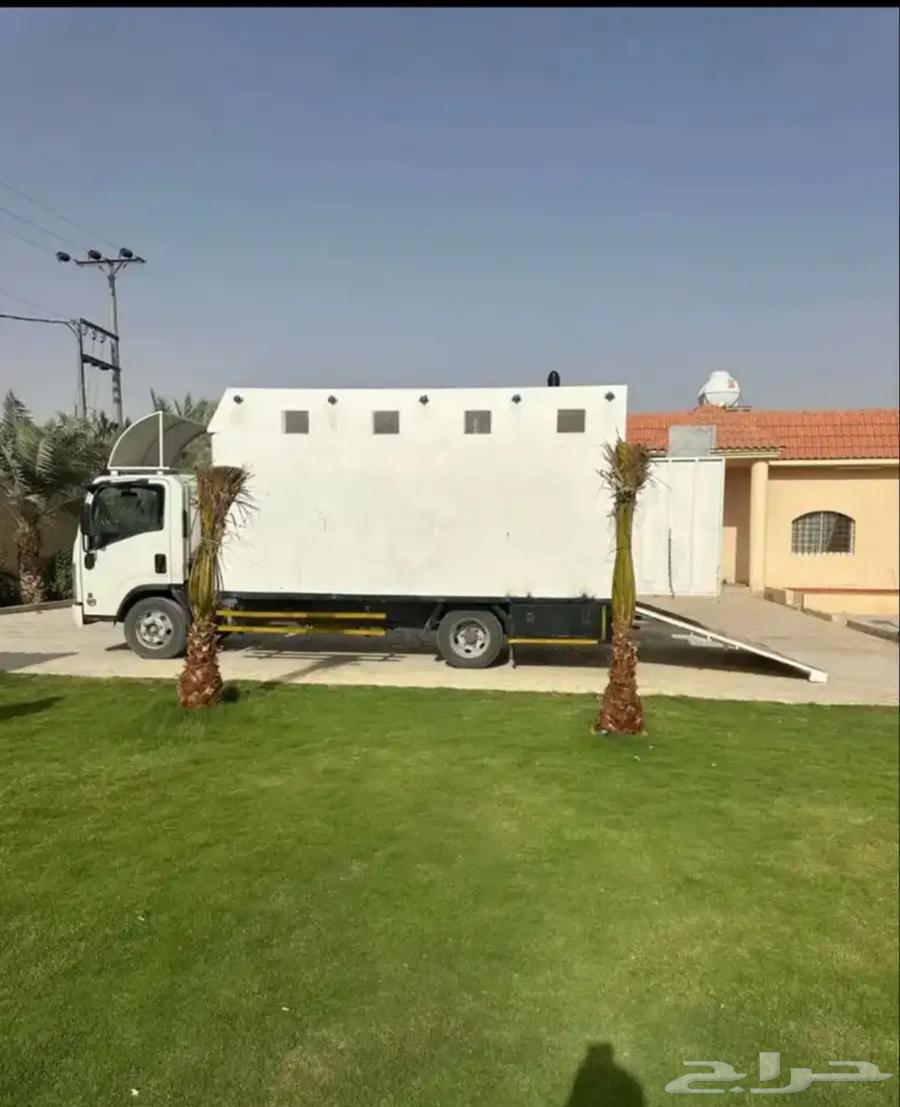 نقل خيل وادي دواسر64375349083651111