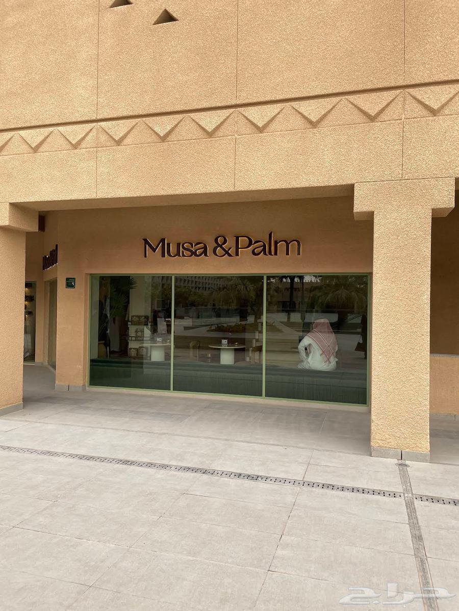 مق موسى اند بالم Musa Palm64367930924290112