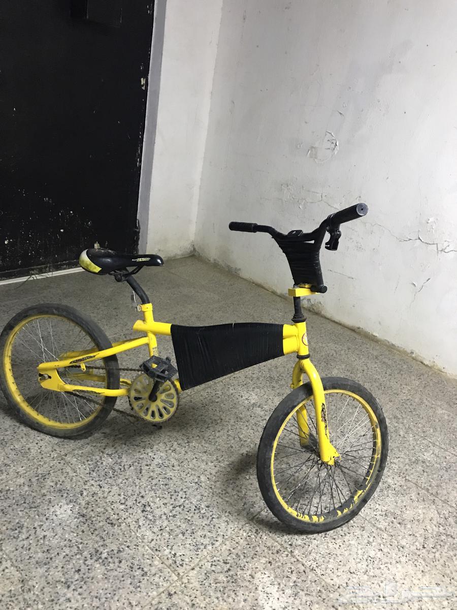 سيكل كوبرا مقاس 20 اصفر حطيت ماسك جوال للي يحتاجه64374230126593111