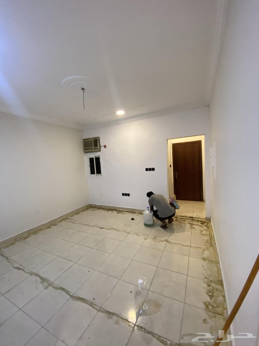 Bachelor apartment for rent in Al-Shoula636138481931551129