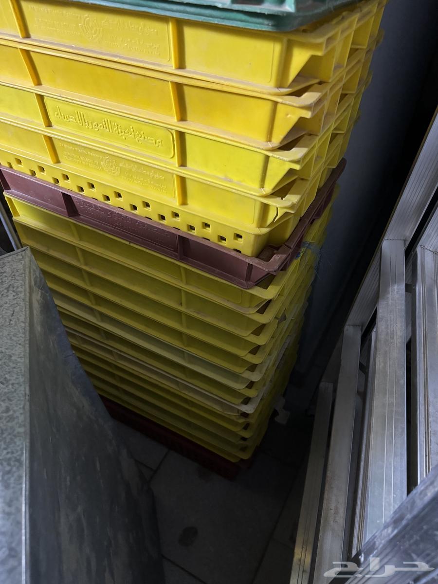 Boxes64362741815171110