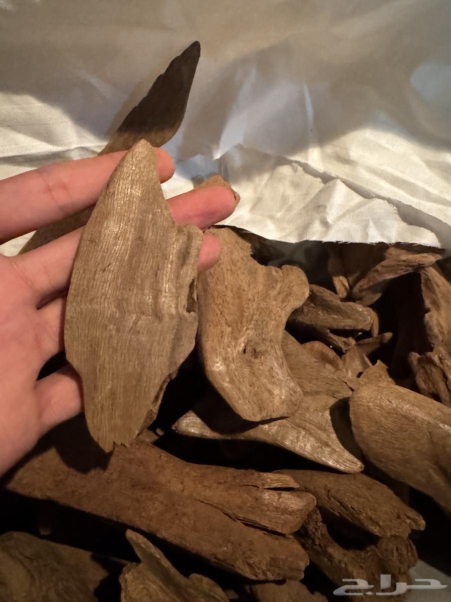 عود موروكي طبيعي دبل سوبر وتربل سوبر64376675013635111