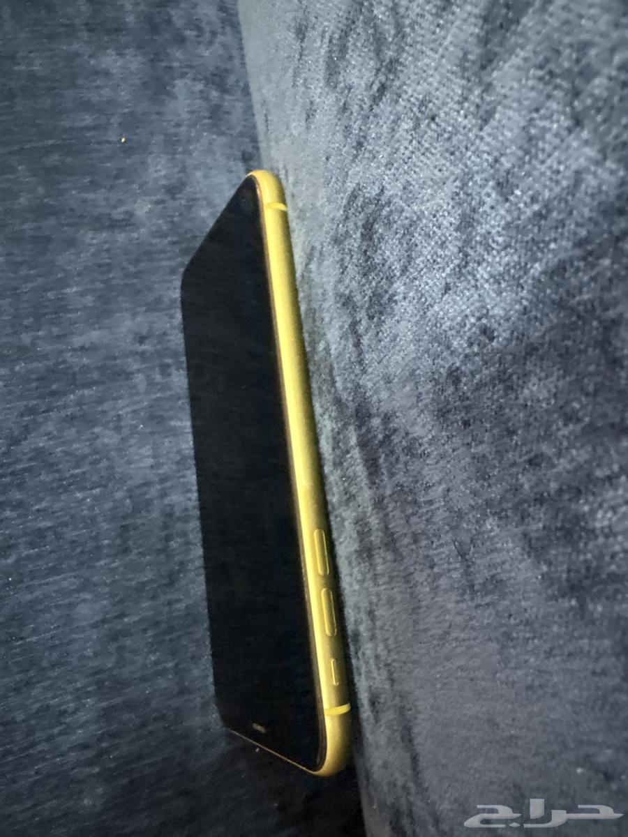 iPhone 11 regular64367726807683112