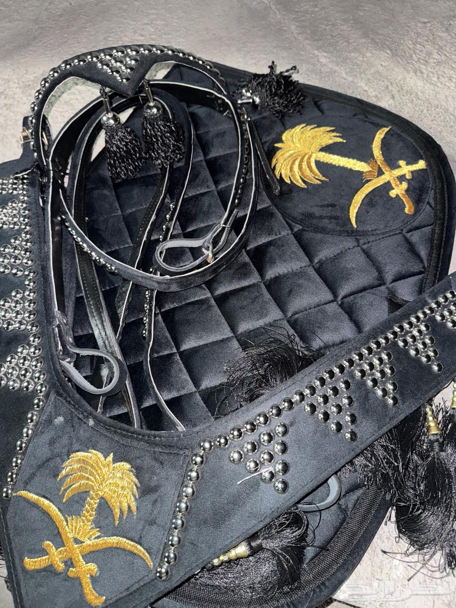 للبيع أطقم زينة خيل فخمة64363219487363112