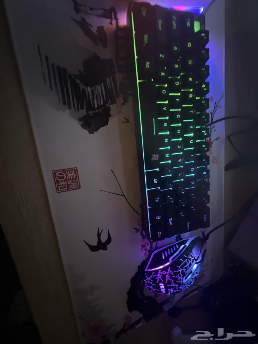 كيبوردات وا ماوس للبيع64365601790977110