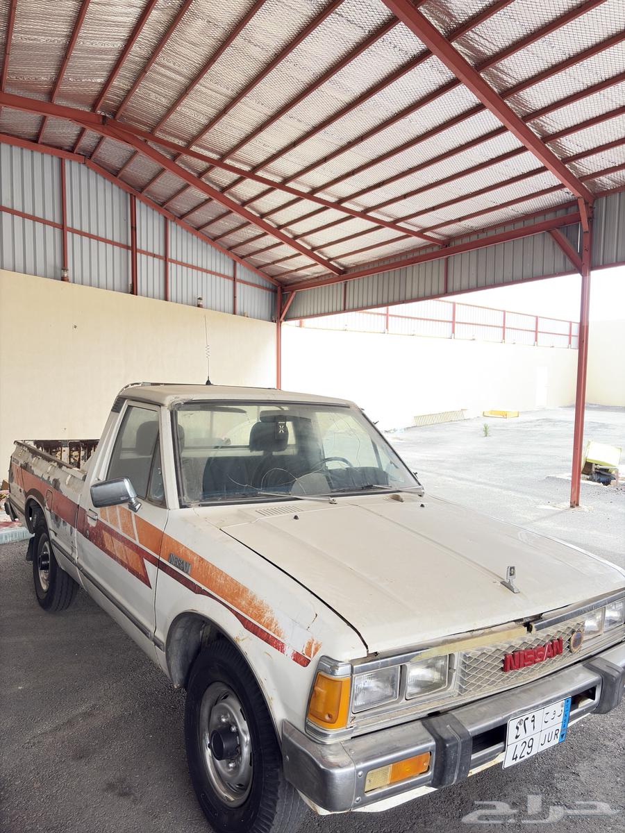 ددسن 85 وكاله شد بلد64519737662851114