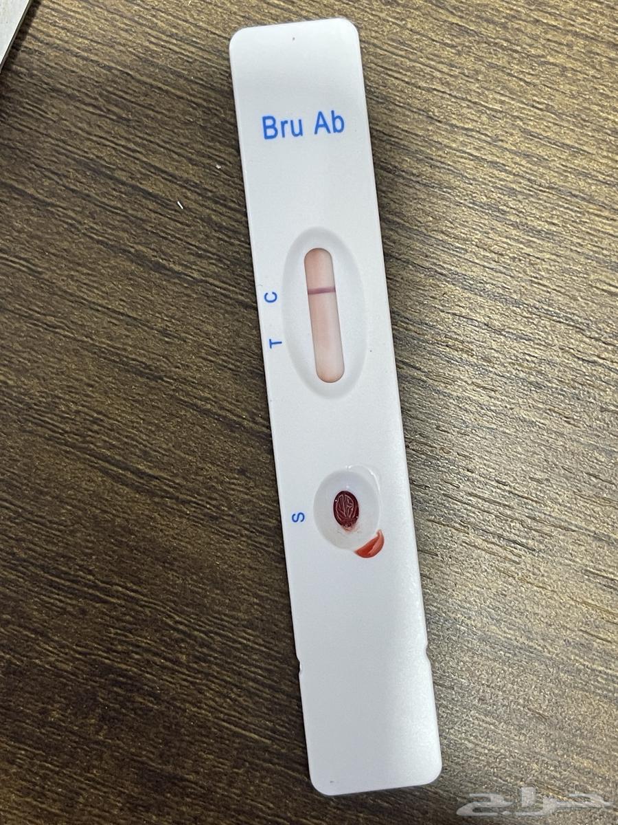 فحل حري صنف الصنف64373551277442110