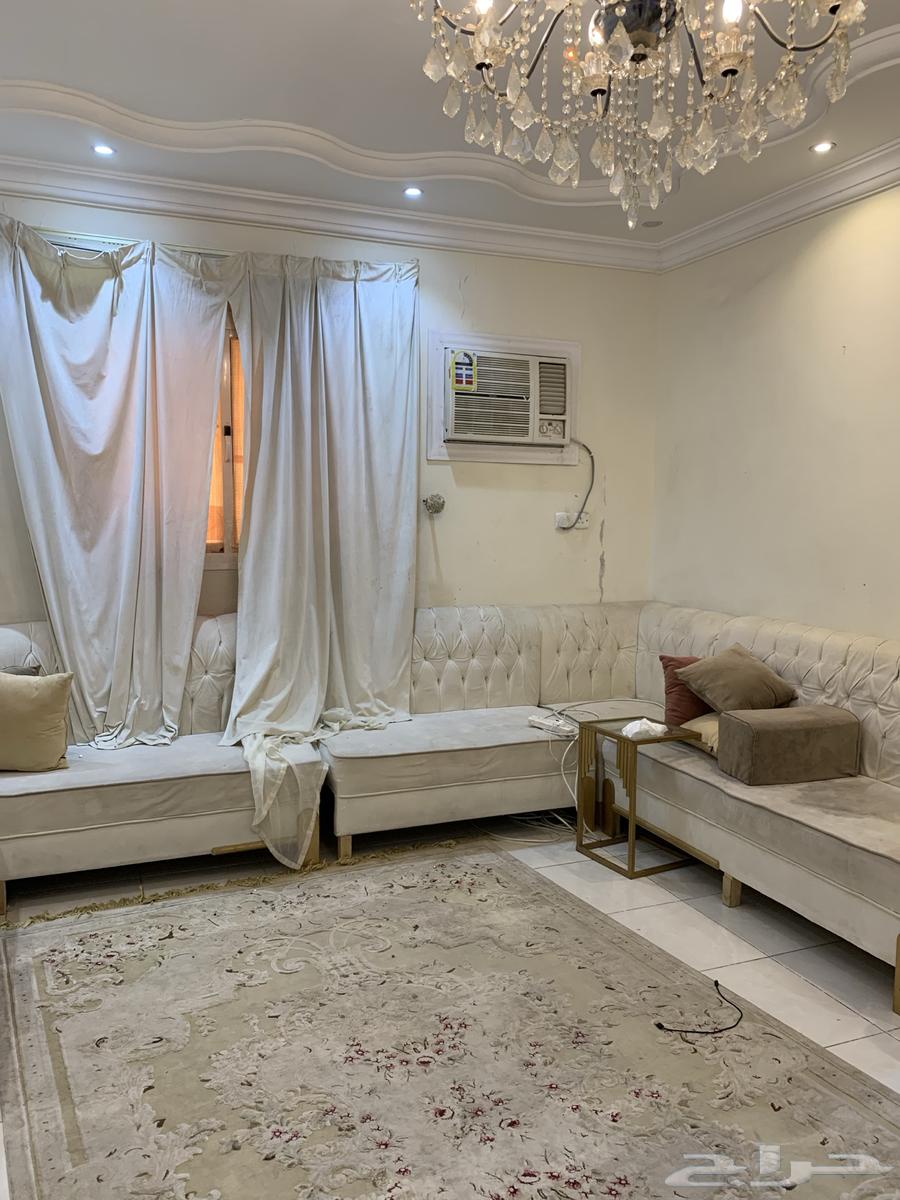 كنب 14 شخص للبيع بسعر رمزي64376930071043110