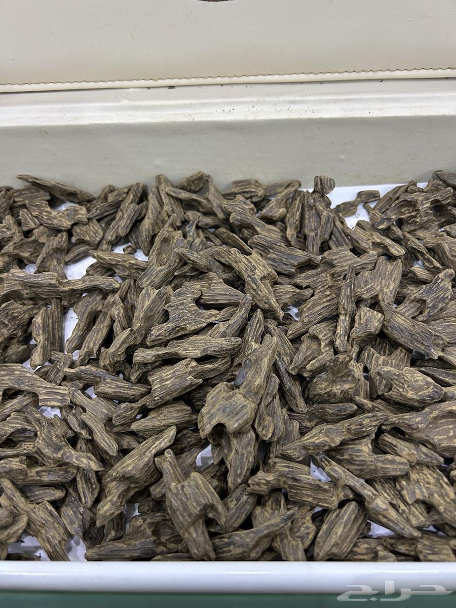 كلمنتان بنتلي دبل سوبر64364545319170110