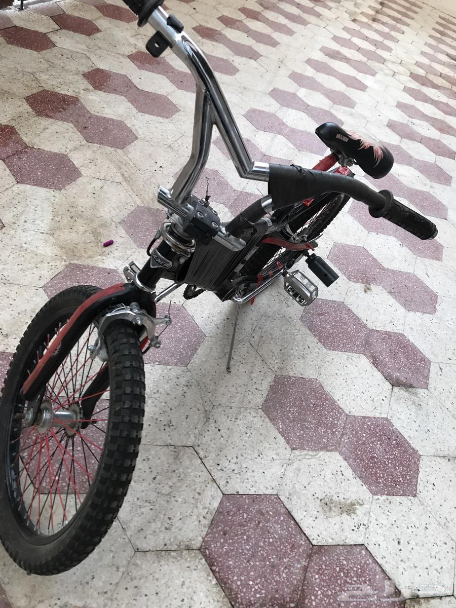 سيكل كوبرا. سيكل رياضي64372038124801110